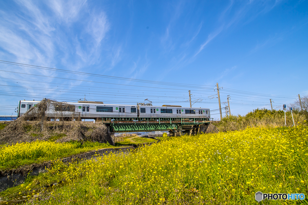 菜の花列車１