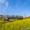 菜の花列車１