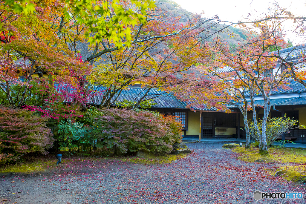 金鱗湖の紅葉１