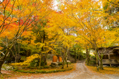 2024年 仁比山神社の紅葉 ３