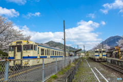 2025年 桜列車（JR日田彦山線）５