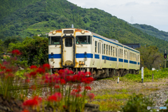 採銅所駅 彼岸花