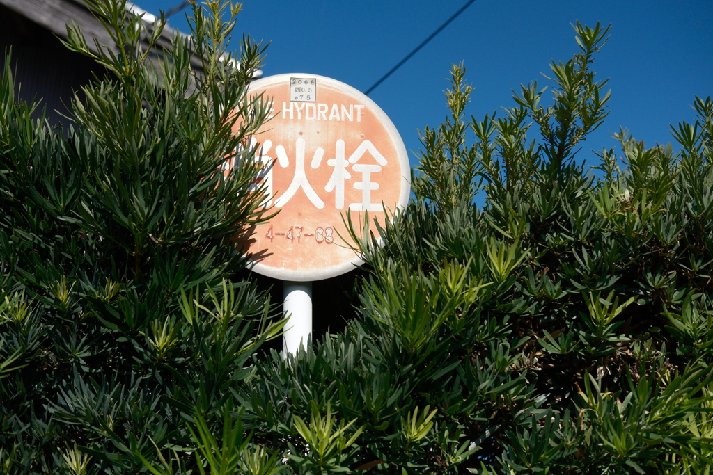 標識が好きだったりする