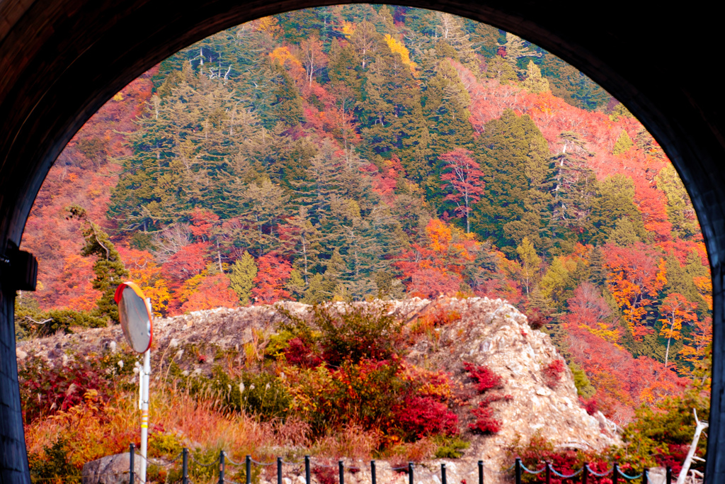 トンネル