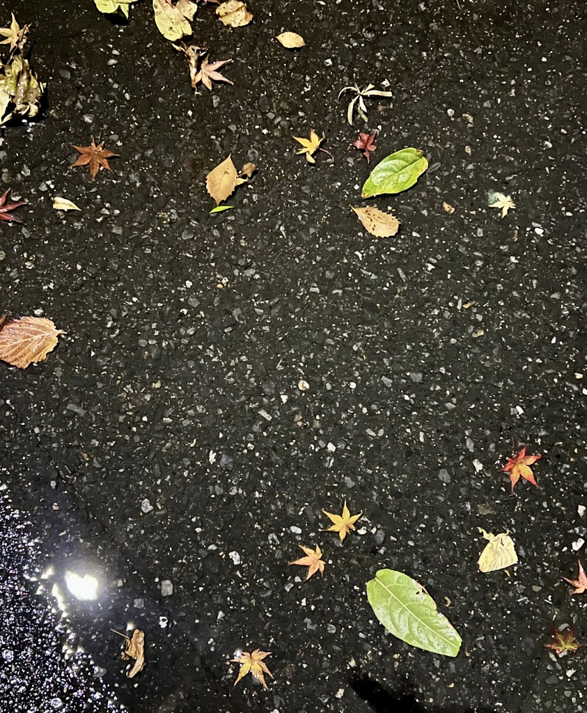 嵐の夜に