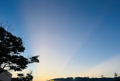 太陽の光線
