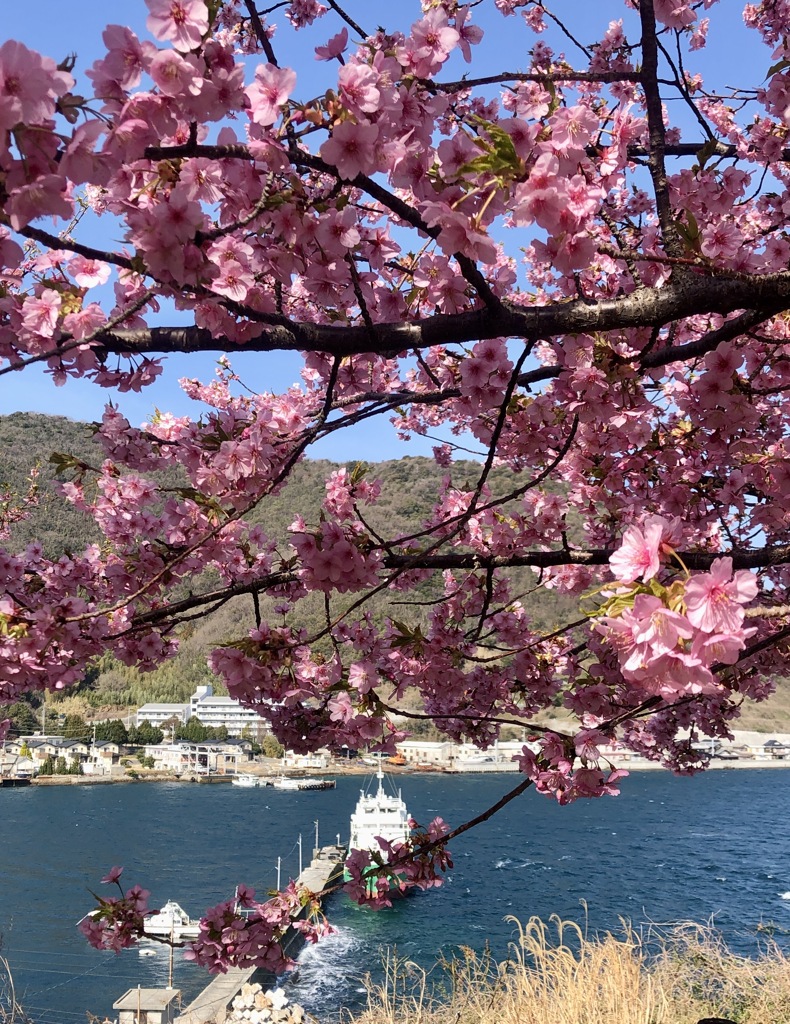 島の春