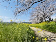 春の散歩道2