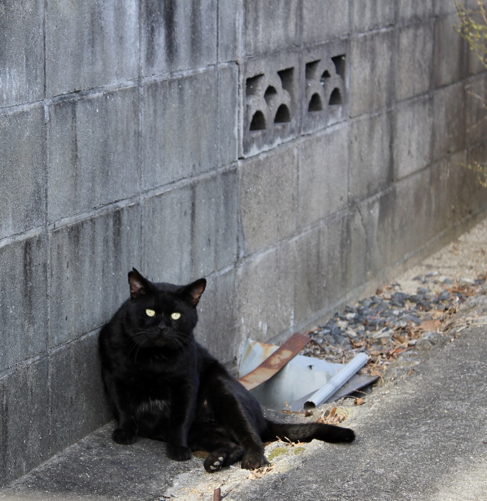 休憩中ごめんね