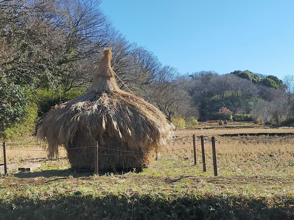 わらポッチ