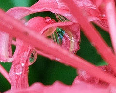 雨あがって