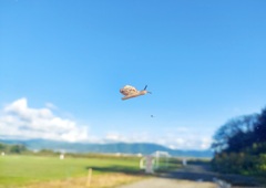 空飛ぶカタツムリ