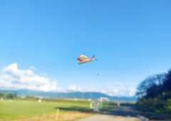 空飛ぶカタツムリ