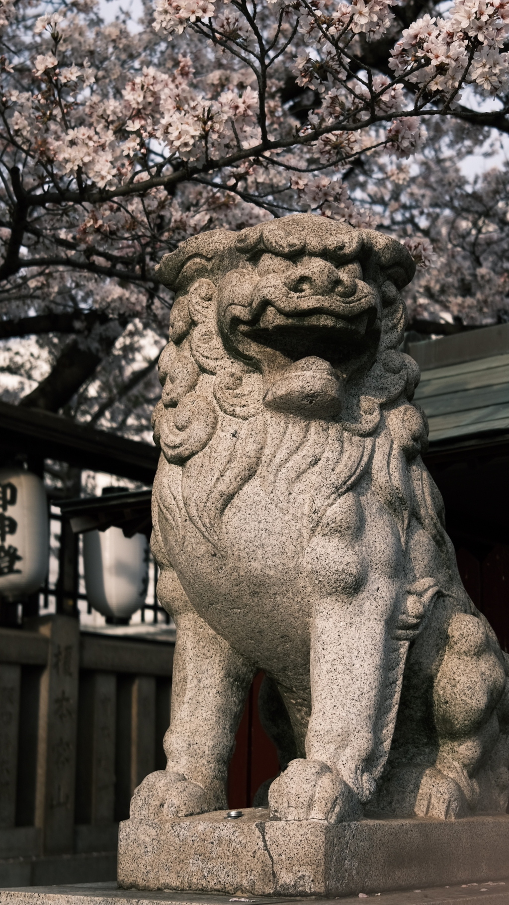 春の狛犬