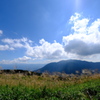 葛城山のススキ