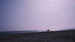 春の海