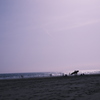 春の海