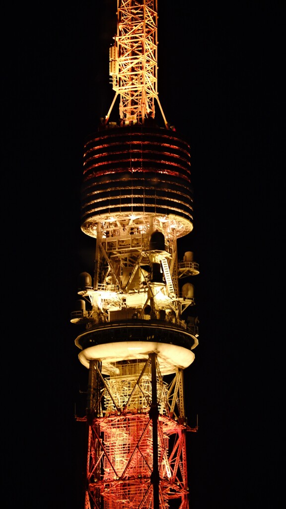東京タワー2