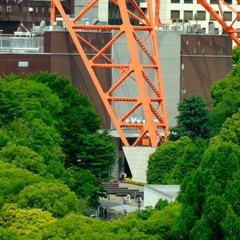 あしもと