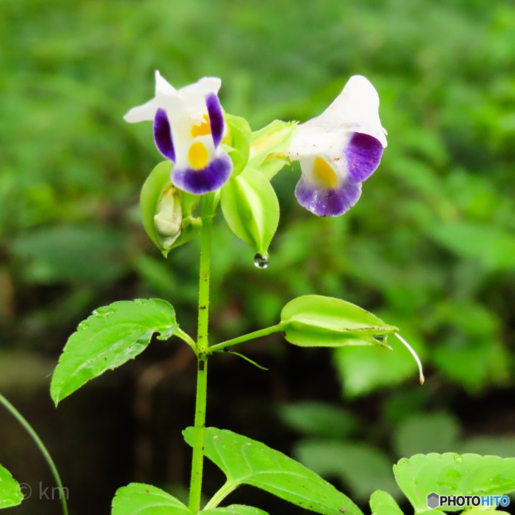 20231005104924_IMG_6686