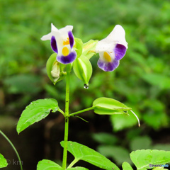 20231005104924_IMG_6686