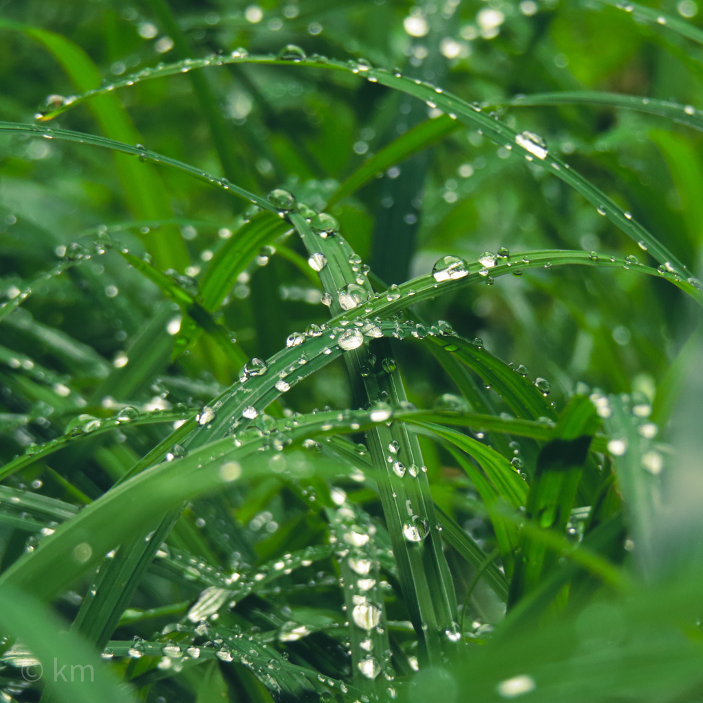 20231005112039_IMG_6760