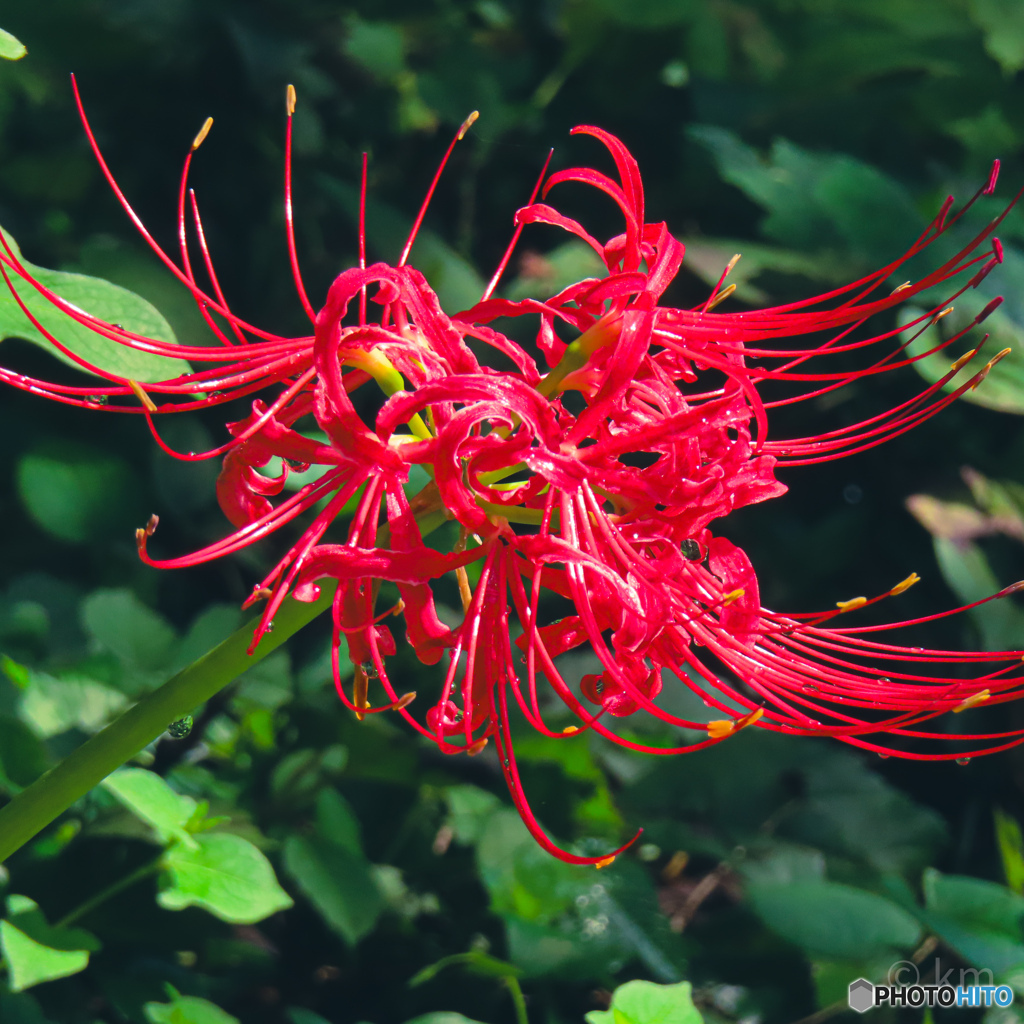 20231005113050_IMG_6798