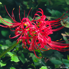 20231005113050_IMG_6798