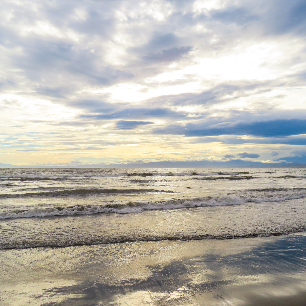 海