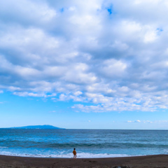 海