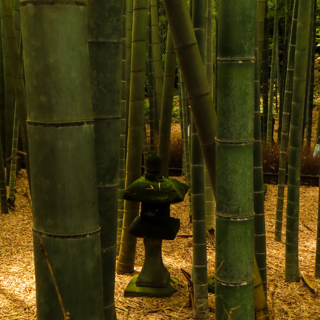 報国寺