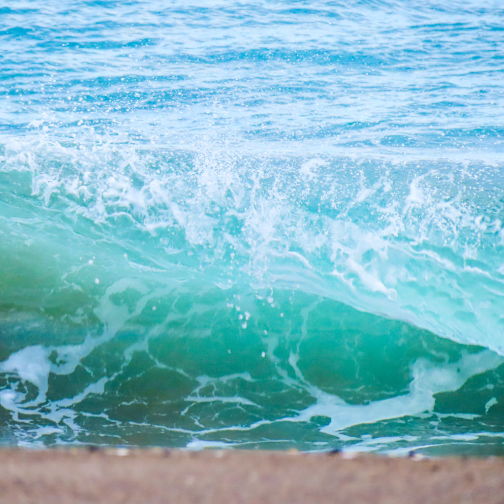 海
