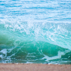 海