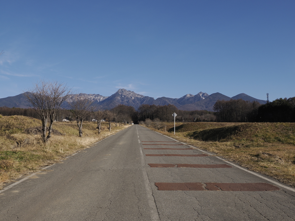 八ヶ岳　山に続く道