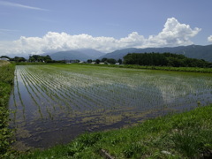 初夏の里　その３