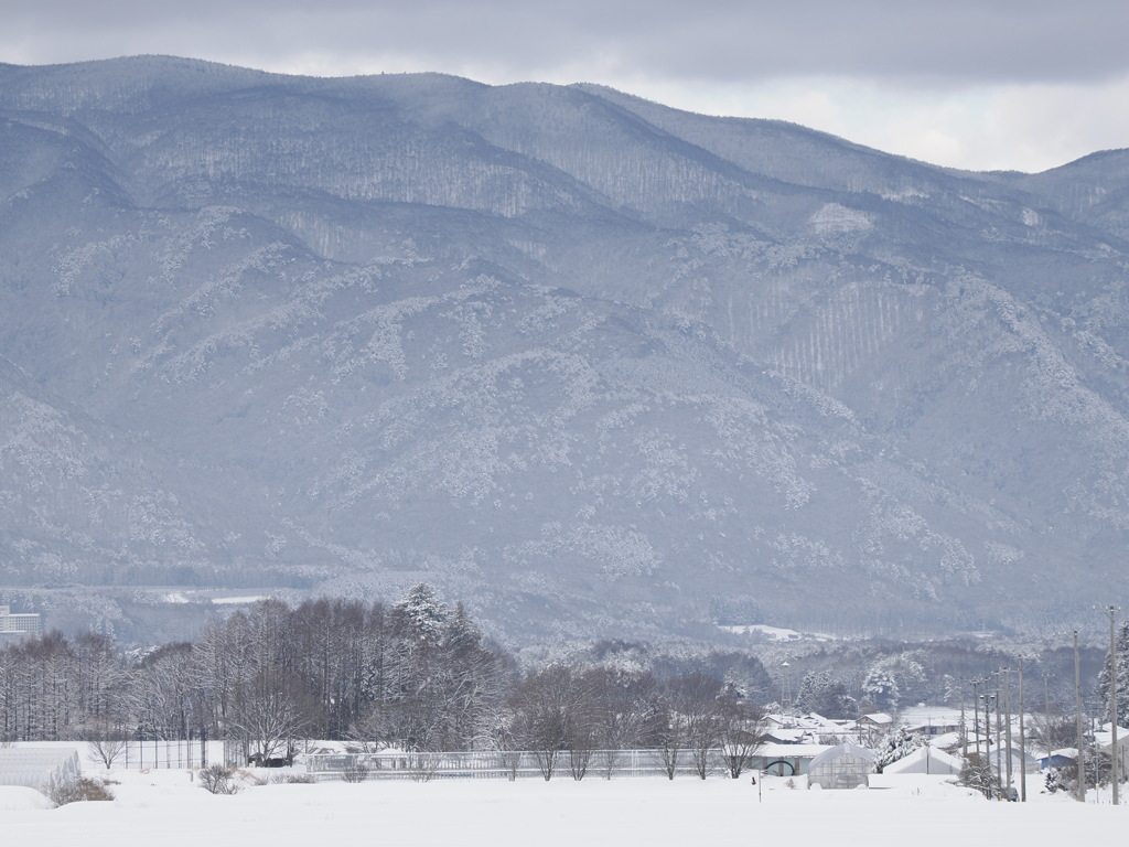 雪景色　その１