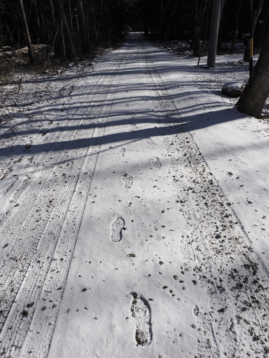 雪の散歩道１