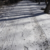 雪の散歩道１
