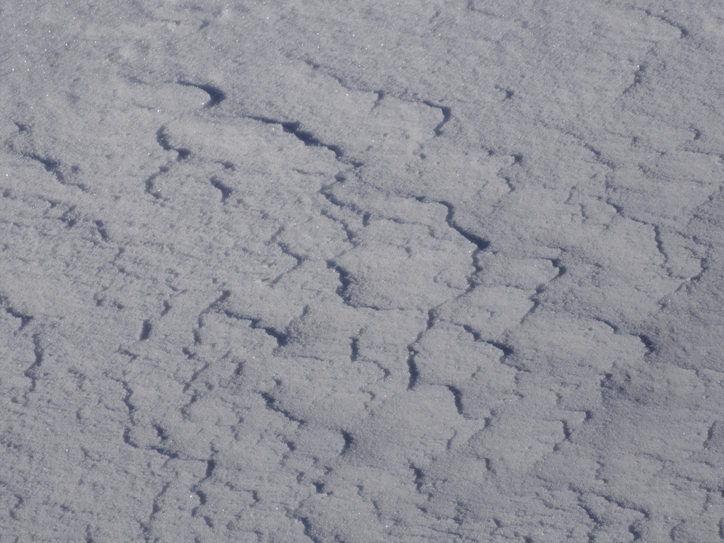 雪の表情２