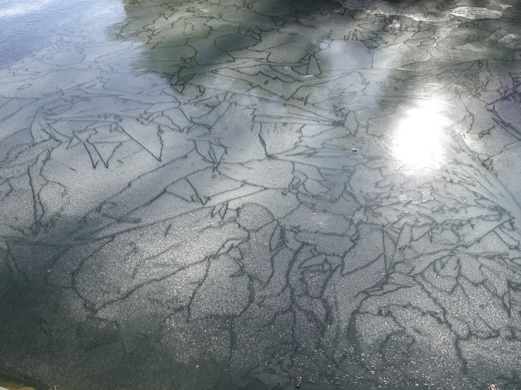 氷の表情　その２
