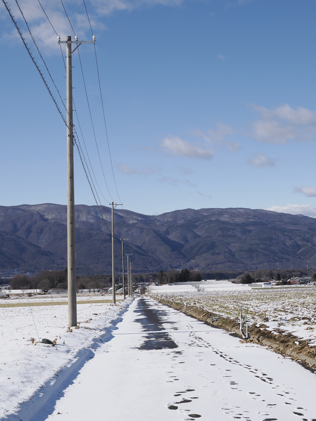 雪の散歩道２