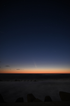 紫金山・アトラス彗星