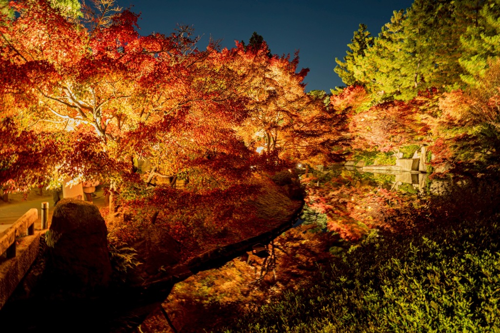 徳川園ライトアップ