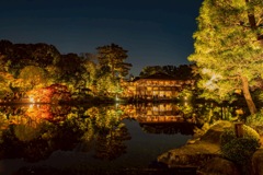 徳川園ライトアップ③
