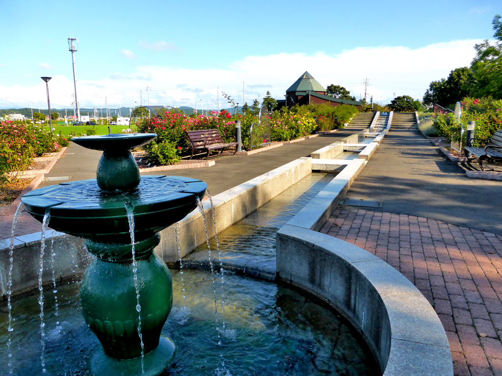 はぼろバラ園（羽幌町）