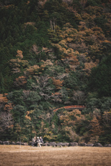 晩秋の景色と…一緒に