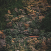 晩秋の景色と…一緒に
