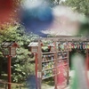 ⋆* filmで綴る…風鈴神社にて ⋆*