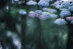 floating…ꕤ୭*