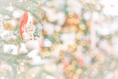 キラキラの雪だるま*ﾟ